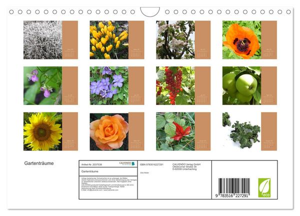 Produktbild: Gartentr&auml;ume (Wandkalender 2026 DIN A4 quer), CALVENDO Monatskalender
