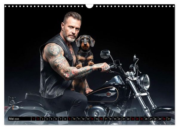 Produktbild: Coole Typen - Rauhaardackel (Wandkalender 2026 DIN A3 quer), CALVENDO Monatskalender