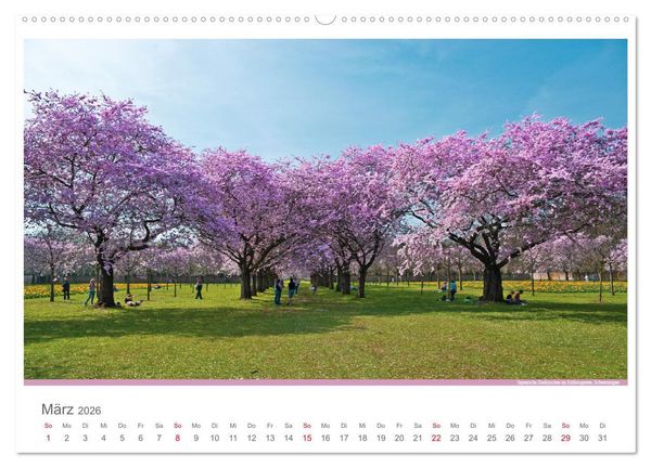Produktbild: Der Neckar - Unterwegs in Deutschland (Wandkalender 2026 DIN A2 quer), CALVENDO Monatskalender