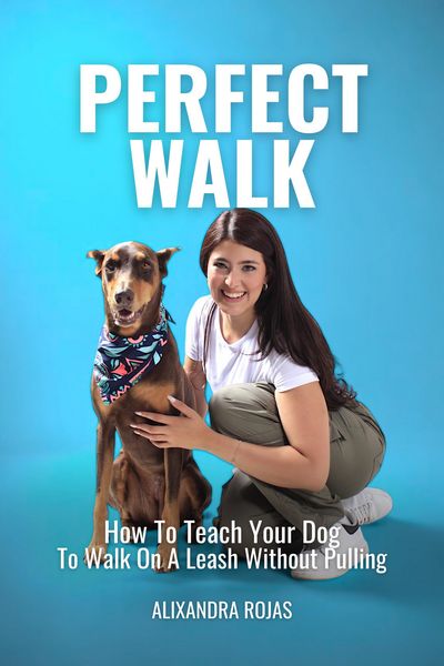 Produktbild: Perfect Walk How To Teach Your Dog To Walk On A Leash Without Pulling
