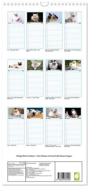Produktbild: Familienplaner 2026 - Heilige Birma Katzen - Eine Rasse mit traumhaft blauen Augen. mit 5 Spalten (Wandkalender, 21 x 45 cm) CALVENDO
