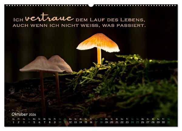 Produktbild: Weibliche Kraft - 12 Impulse zu deiner Wirksamkeit als Frau (hochwertiger Premium Wandkalender 2026 DIN A2 quer), Kunstdruck in Hochglanz