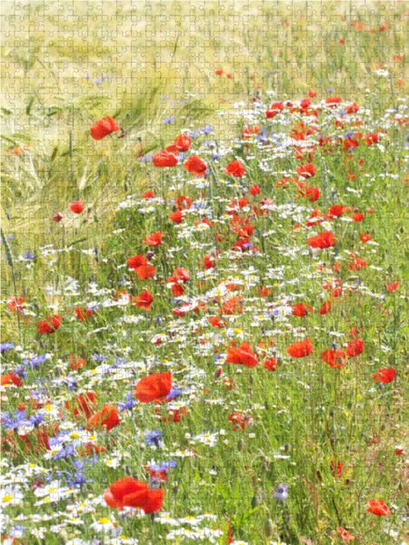 Produktbild: CALVENDO Puzzle Blumen im Kornfeld 1000 Teile Lege-Gr&ouml;&szlig;e 48 x 64 cm Foto-Puzzle Bild von Gisela Kruse