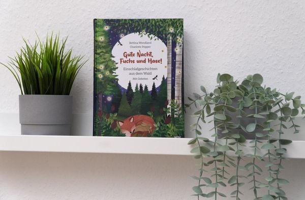 Gute Nacht, Fuchs und Hase!
