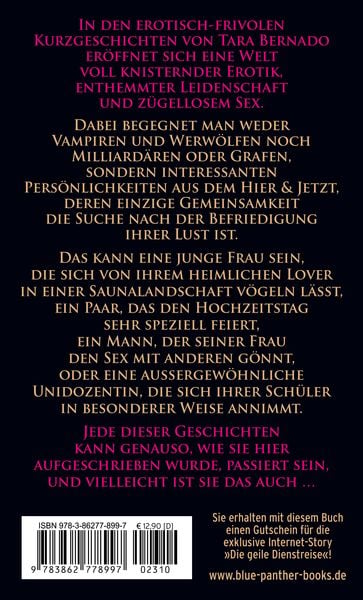 Produktbild: Ich will es unanst&auml;ndig! 12 Anregende Geschichten f&uuml;r hei&szlig;e N&auml;chte