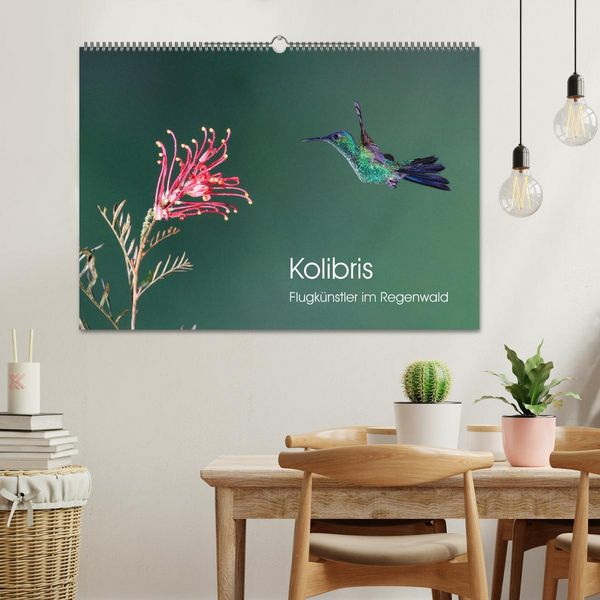 Produktbild: Kolibris - Flugk&uuml;nstler im Regenwald (Wandkalender 2026 DIN A2 quer), CALVENDO Monatskalender