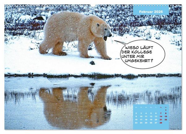 Produktbild: Lustige Eisb&auml;ren (hochwertiger Premium Wandkalender 2026 DIN A2 quer), Kunstdruck in Hochglanz