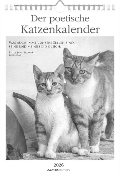 Produktbild: Der poetische Katzenkalender im Format 21 x 29,7