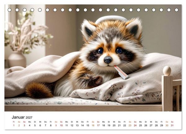 Produktbild: Waschb&auml;ren - Klein. Knuddelig. Herzerw&auml;rmend. (Tischkalender 2027 DIN A5 quer), CALVENDO Monatskalender