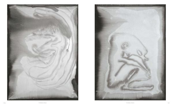Produktbild: Camille Henrot