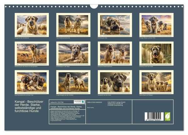 Produktbild: Kangal - Besch&uuml;tzer der Herde. Starke, selbstst&auml;ndige und furchtlose Hunde (Wandkalender 2027 DIN A3 quer), CALVENDO Monatskalender