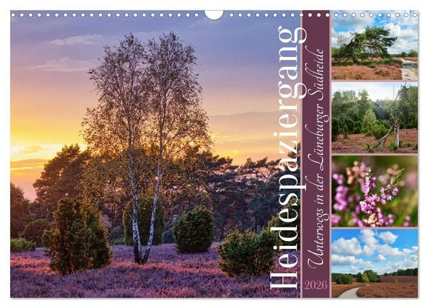 Produktbild: Heidespaziergang (Wandkalender 2026 DIN A3 quer), CALVENDO Monatskalender