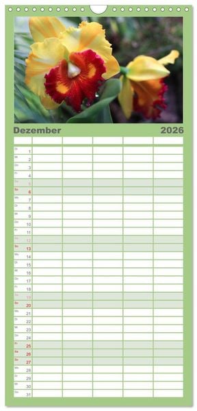 Produktbild: Familienplaner 2026 - Pr&auml;chtige Orchideen mit 5 Spalten (Wandkalender, 21 x 45 cm) CALVENDO