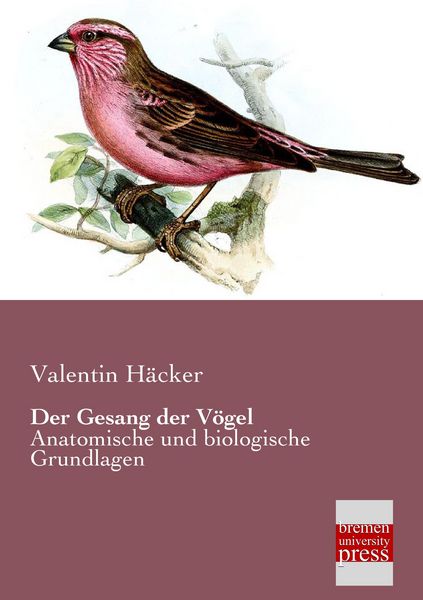 Der Gesang der Vögel, Taschenbuch von Valentin Häcker, Bremen University Press, 9783955621520