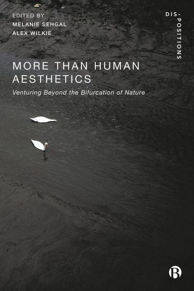 Produktbild: More-Than-Human Aesthetics