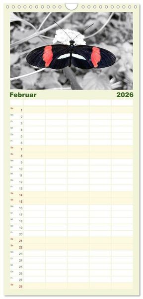 Produktbild: Familienplaner 2026 - Gefl&uuml;gelte Sch&ouml;nheiten der Tropen mit 5 Spalten (Wandkalender, 21 x 45 cm) CALVENDO