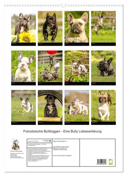 Produktbild: Franz&ouml;sische Bulldoggen - Eine Bully Liebeserk&auml;rung (Wandkalender 2026 DIN A2 hoch), CALVENDO Monatskalender