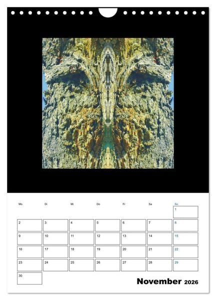 Produktbild: Nature's Faces (Wandkalender 2026 DIN A4 hoch), CALVENDO Monatskalender