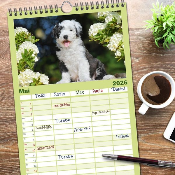Produktbild: Familienplaner 2026 - In der Kinderstube bei Familie Bobtail mit 5 Spalten (Wandkalender, 21 x 45 cm) CALVENDO