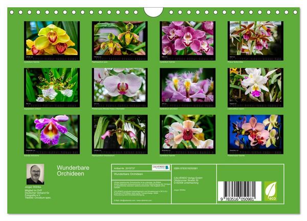 Produktbild: Wunderbare Orchideen (Wandkalender 2026 DIN A4 quer), CALVENDO Monatskalender