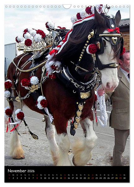 Produktbild: Shire Horse - Geschm&uuml;ckte Riesen (Wandkalender 2026 DIN A3 hoch), CALVENDO Monatskalender