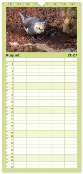 Produktbild: Familienplaner 2027 - Nymphensittiche mit 5 Spalten (Wandkalender, 21 x 45 cm) CALVENDO