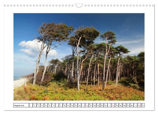 Produktbild: Die Ostseek&uuml;ste (Wandkalender 2026 DIN A3 quer), CALVENDO Monatskalender