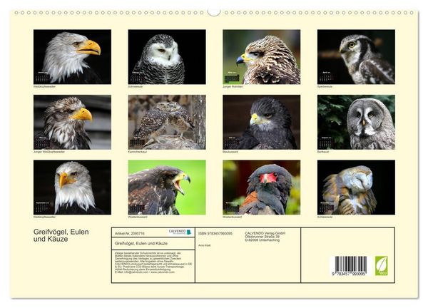 Produktbild: Greifv&ouml;gel, Eulen und K&auml;uze (hochwertiger Premium Wandkalender 2026 DIN A2 quer), Kunstdruck in Hochglanz