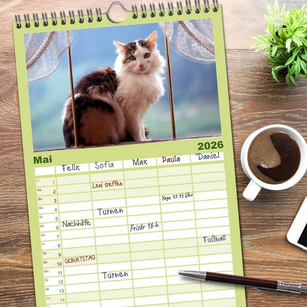 Produktbild: Familienplaner 2026 - Katzen mit 5 Spalten (Wandkalender, 21 x 45 cm) CALVENDO
