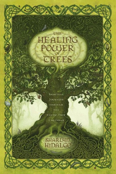 Produktbild: The Healing Power of Trees