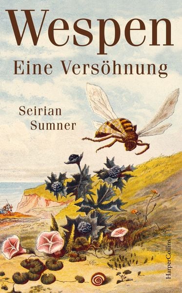 Wespen. Eine Versöhnung, Gebundene Ausgabe von Seirian Sumner, HarperCollins, 9783749902088