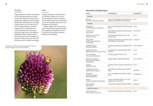 Produktbild: Mein Garten w&auml;chst im Topf