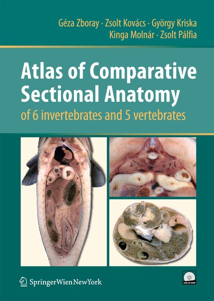 Produktbild: Atlas of Comparative Sectional Anatomy of 6 invertebrates and 5 vertebrates