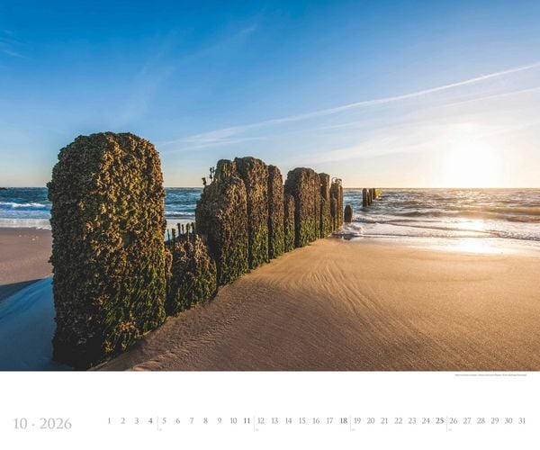 Produktbild: Sylt 2026 - Bildkalender XXL 60x50 cm - hochwertiger Wandkalender im Querformat - Landschaftskalender - Wandplaner - Deutsche Küsten