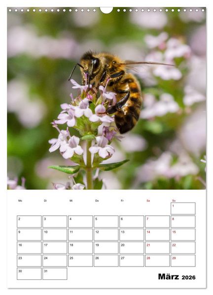Produktbild: Hummeln und Bienen Terminplaner (Wandkalender 2026 DIN A3 hoch), CALVENDO Monatskalender