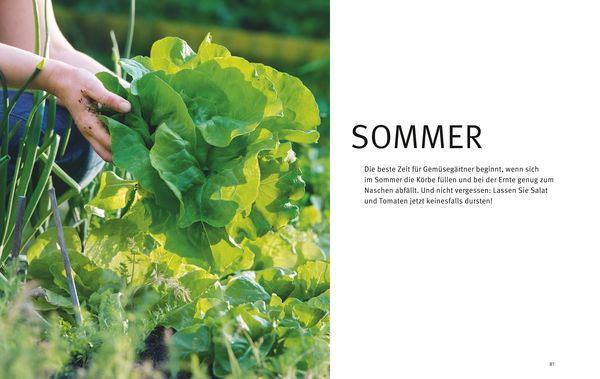 Produktbild: Reiche Ernte