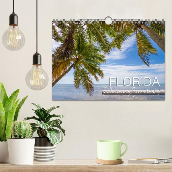Produktbild: FLORIDA Paradiesischer Sonnenscheinstaat (Wandkalender 2026 DIN A4 quer), CALVENDO Monatskalender