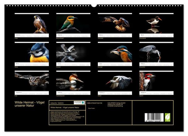 Produktbild: Wilde Heimat - V&ouml;gel unserer Natur (hochwertiger Premium Wandkalender 2026 DIN A2 quer), Kunstdruck in Hochglanz