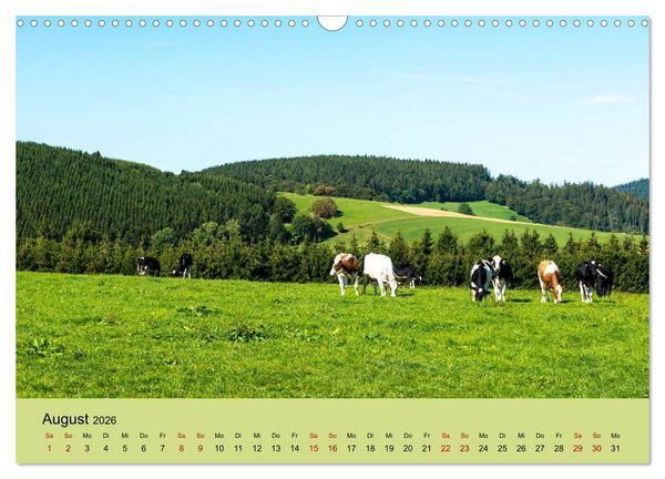 Produktbild: Pilgern im Waldecker Upland (Wandkalender 2026 DIN A3 quer), CALVENDO Monatskalender