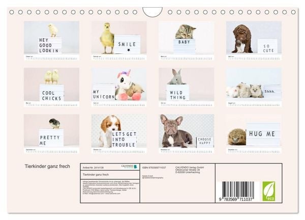 Produktbild: Tierkinder ganz frech (Wandkalender 2027 DIN A4 quer), CALVENDO Monatskalender
