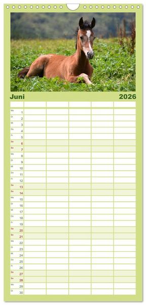 Produktbild: Familienplaner 2026 - Die lieben Kleinen ... Tierkinder einfach zum Knuddeln mit 5 Spalten (Wandkalender, 21 x 45 cm) CALVENDO