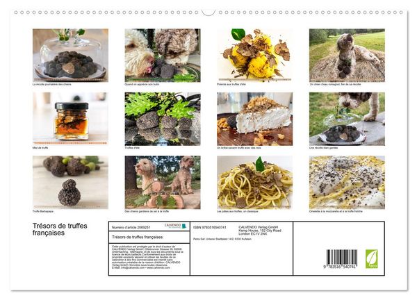 Produktbild: Tr&eacute;sors de truffes fran&ccedil;aises (Calendrier mural 2026 DIN A2 vertical) calendrier de bureau