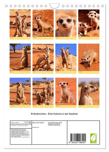 Produktbild: Erdm&auml;nnchen - Eine Kolonie in der Kalahari (Wandkalender 2026 DIN A4 hoch), CALVENDO Monatskalender