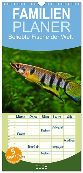 Produktbild: Familienplaner 2026 - Beliebte Fische der Welt mit 5 Spalten (Wandkalender, 21 x 45 cm) CALVENDO