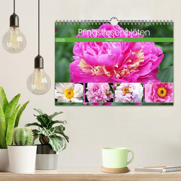 Produktbild: Pfingstrosenbl&uuml;ten (Wandkalender 2026 DIN A4 quer), CALVENDO Monatskalender