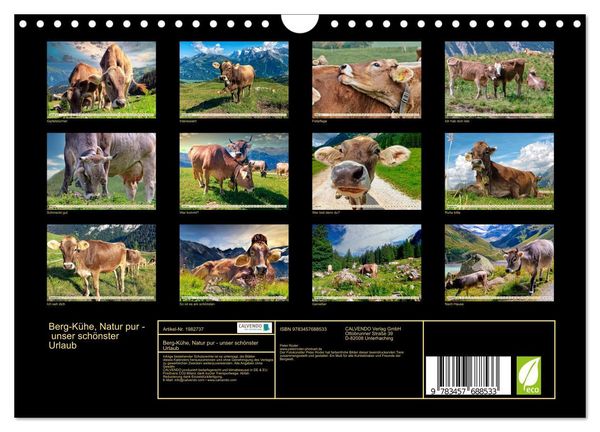 Produktbild: Berg-K&uuml;he, Natur pur - unser sch&ouml;nster Urlaub (Wandkalender 2026 DIN A4 quer), CALVENDO Monatskalender