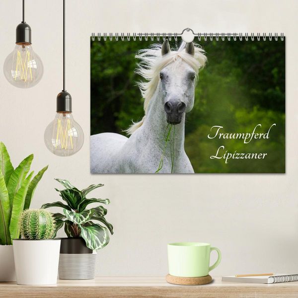 Produktbild: Traumpferd Lipizzaner (Wandkalender 2026 DIN A4 quer), CALVENDO Monatskalender
