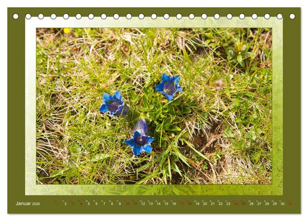 Produktbild: Das vergessene Tal. Schnalstal - Val Senales (Tischkalender 2026 DIN A5 quer), CALVENDO Monatskalender