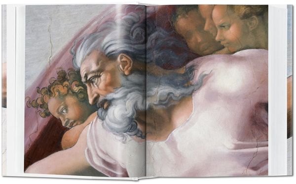 Produktbild: Michelangelo. The Complete Paintings, Sculptures and Arch.
