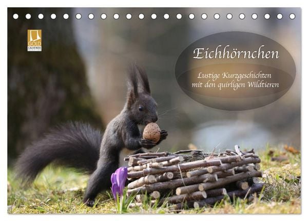 Eichhörnchen - Lustige Kurzgeschichten mit den quirligen Wildtieren (Tischkalender 2026 DIN A5 quer), CALVENDO Monatskalender